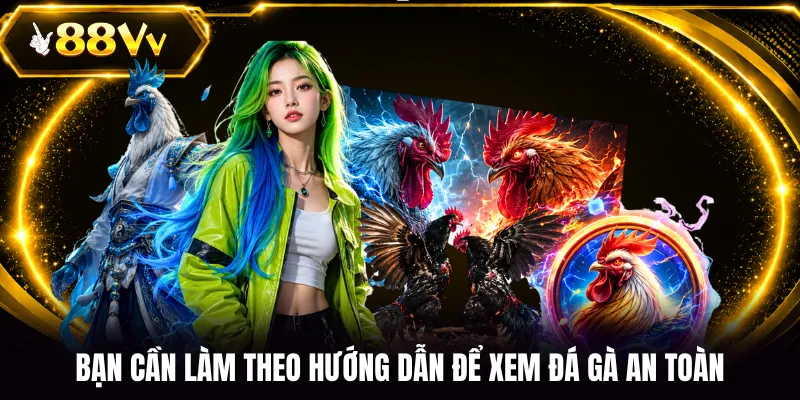 Bạn cần làm theo hướng dẫn để xem đá gà an toàn