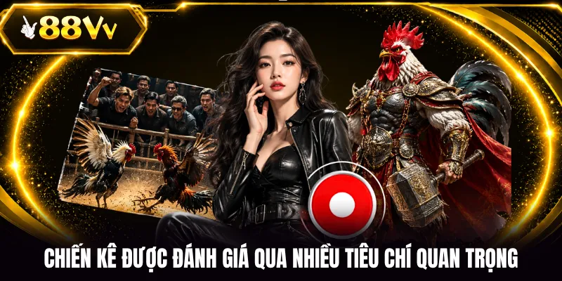 Chiến kê được đánh giá qua nhiều tiêu chí quan trọng