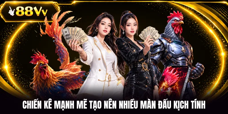 Chiến kê mạnh mẽ tạo nên nhiều màn đấu kịch tính