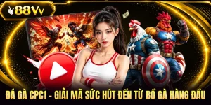 Đá Gà CPC1 - Giải Mã Sức Hút Đến Từ Bồ Gà Hàng Đầu