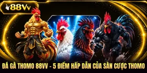 Đá Gà Thomo 88VV - 5 Điểm Hấp Dẫn Của Sàn Cược Thomo
