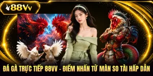 Đá Gà Trực Tiếp 88VV - Điểm Nhấn Từ Màn So Tài Hấp Dẫn