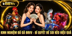 Kinh Nghiệm Đá Gà 88VV - Bí Quyết Để Soi Kèo Hiệu Quả