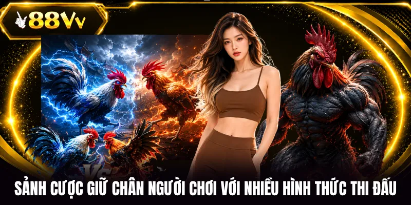 Sảnh cược giữ chân người chơi với nhiều hình thức thi đấu